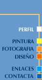 Perfil